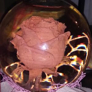 Meet your Posher, Eva